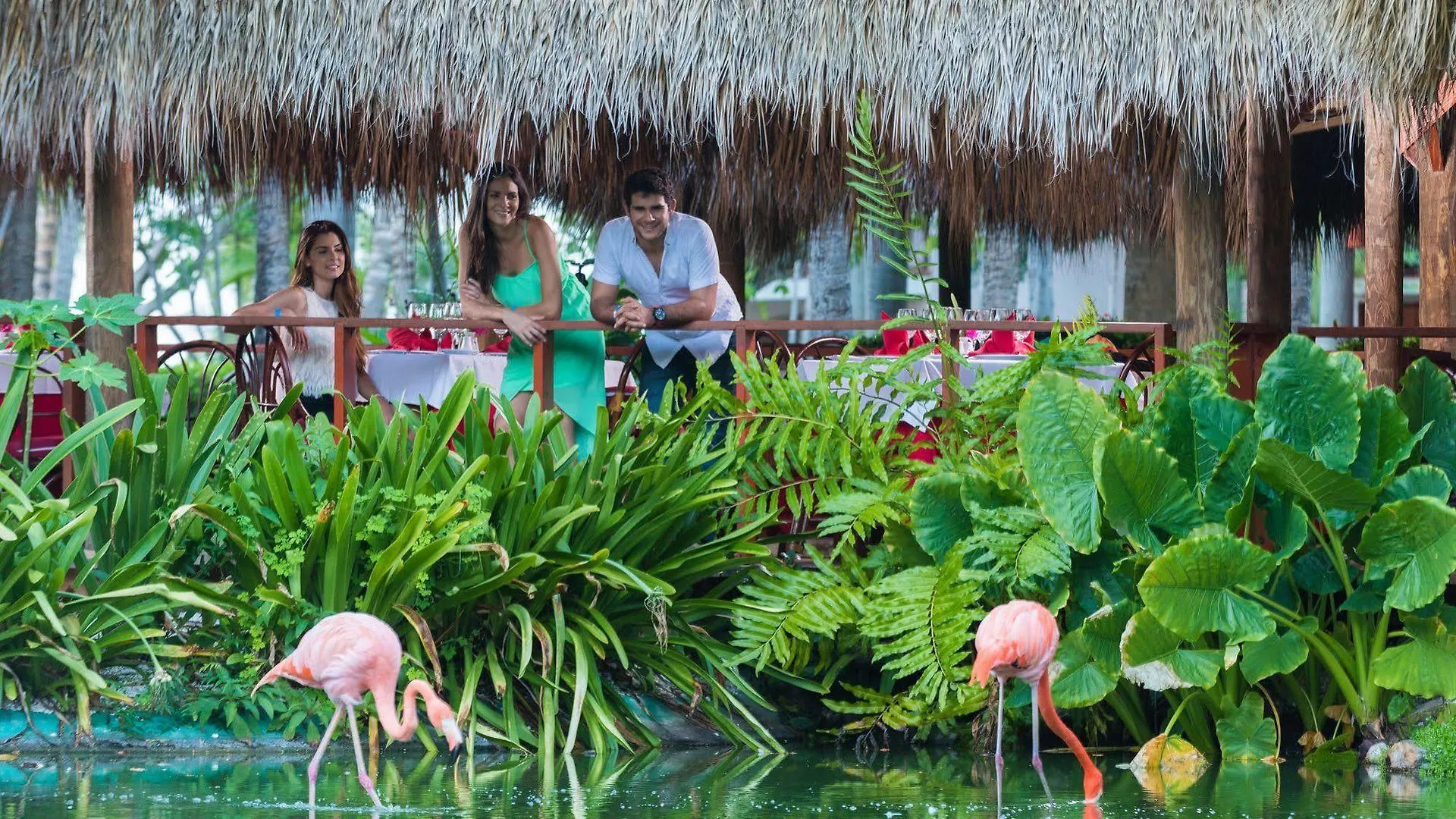 Natura Park Beach & Spa Eco Resort Punta Cana 5*,  Dominican Republic