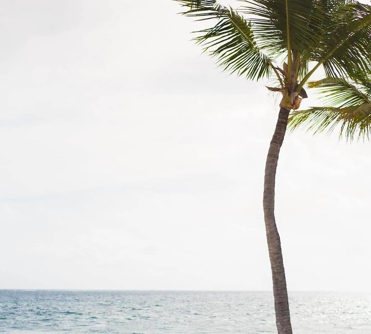 Natura Park Beach & Spa Eco Resort Punta Cana