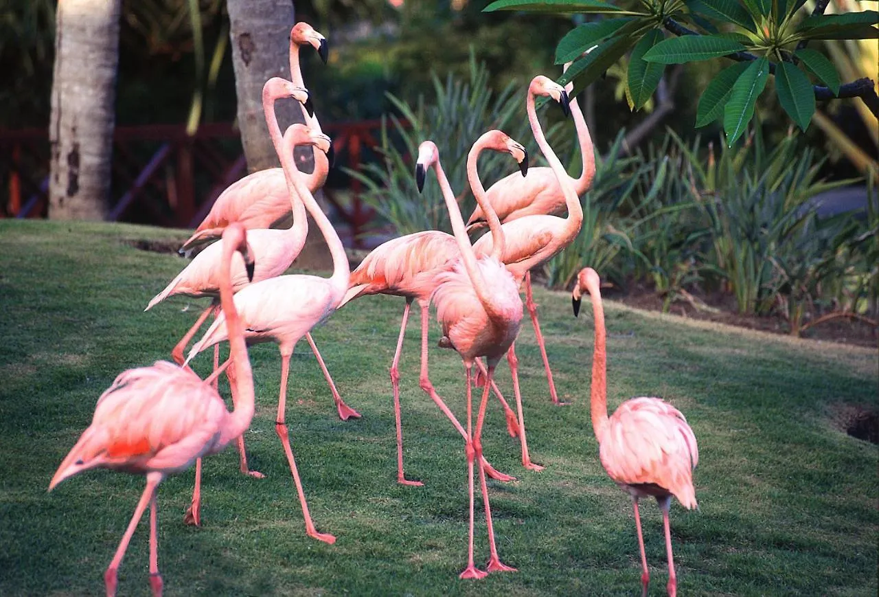 Natura Park Beach & Spa Eco Resort Punta Cana Dominican Republic
